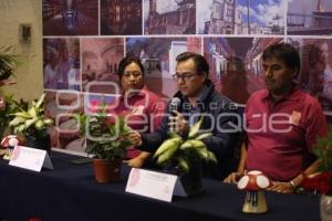 EXPO FLORES Y PLANTAS