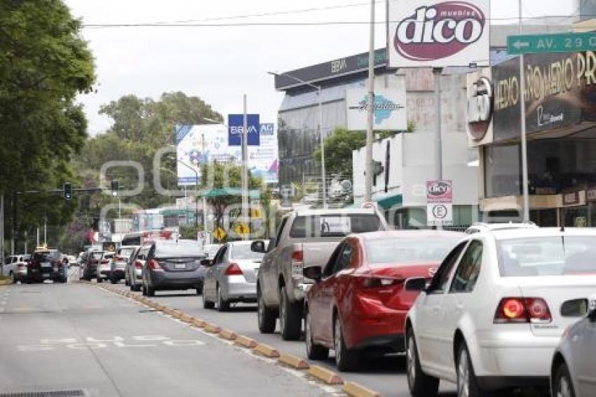 MANIFESTACIÓN . MUERTE BONIFACIO