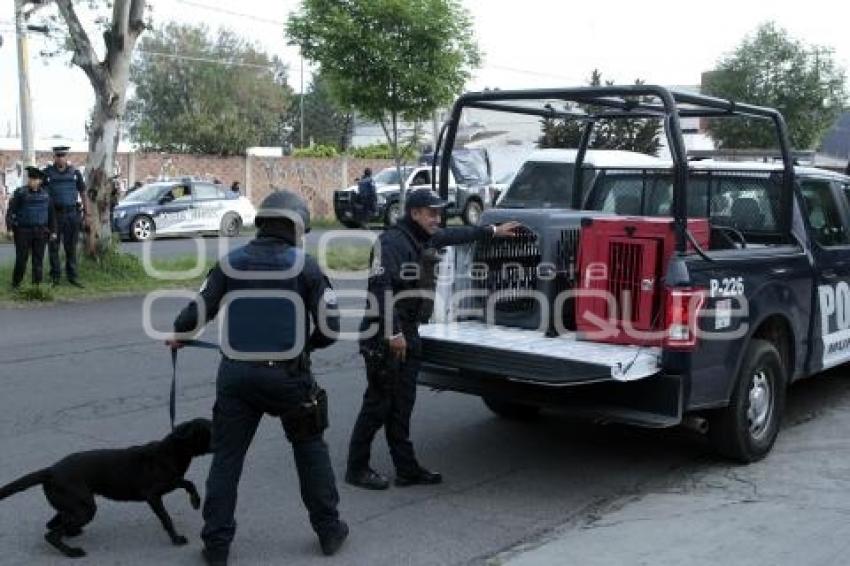 OPERATIVO . TRANSPORTE PÚBLICO