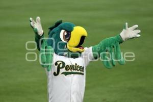 BEISBOL . PERICOS VS SULTANES