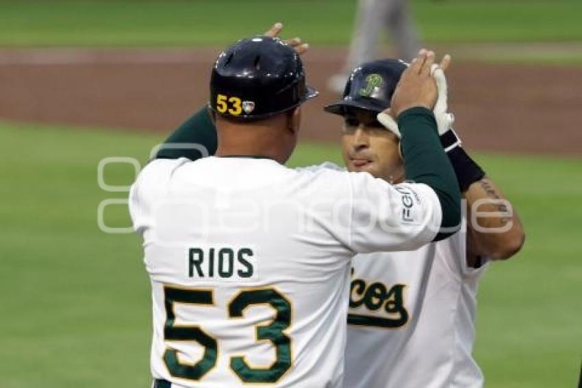 BEISBOL . PERICOS VS SULTANES