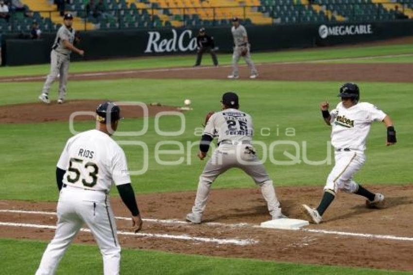 BEISBOL . PERICOS VS SULTANES