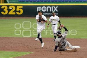 BEISBOL . PERICOS VS SULTANES