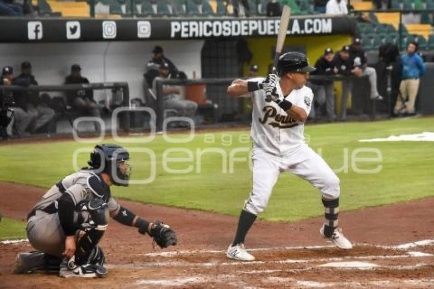 BEISBOL . PERICOS VS SULTANES