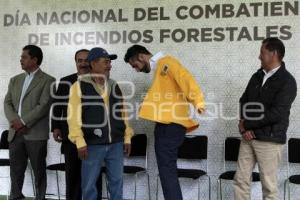 DIA COMBATIENTE INCENDIOS FORESTALES