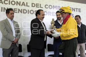 DIA COMBATIENTE INCENDIOS FORESTALES