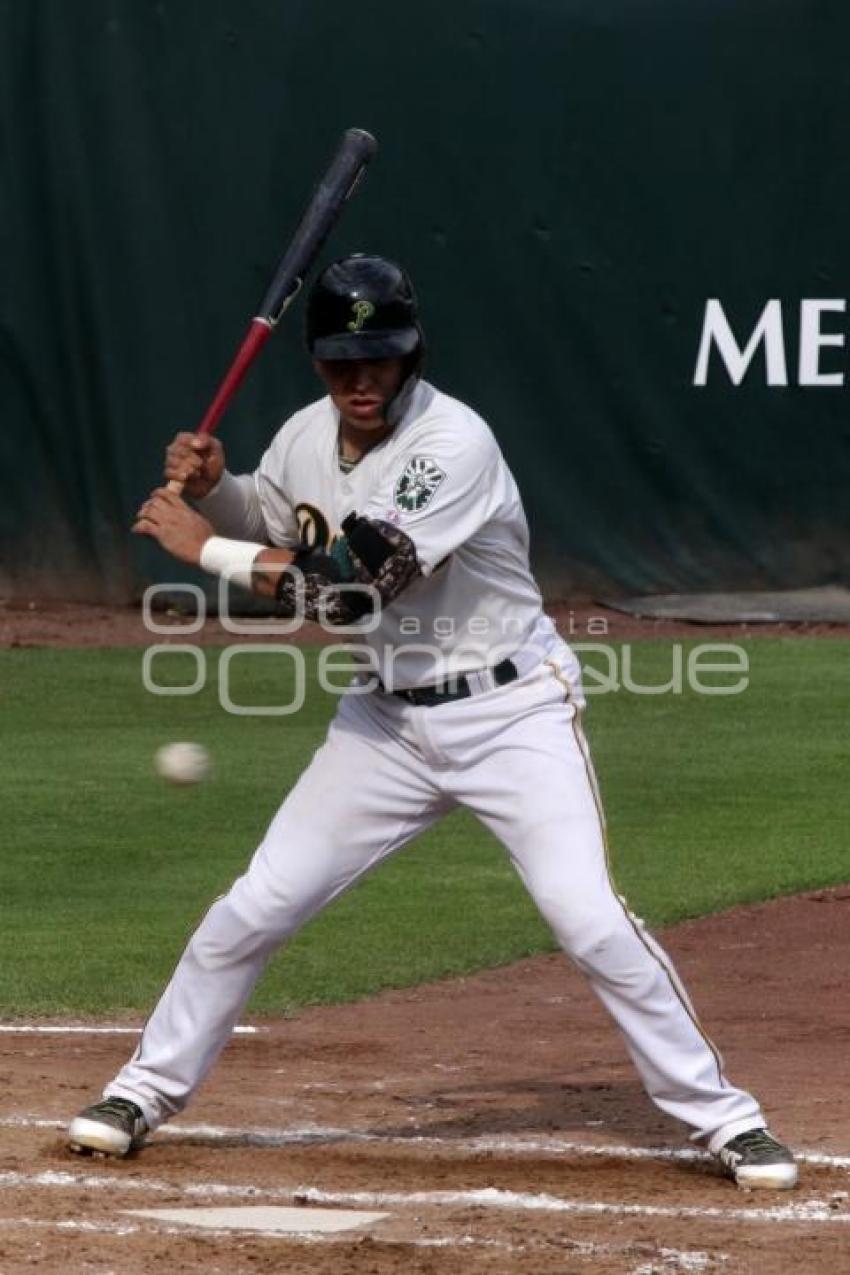 BEISBOL . PERICOS VS TOROS