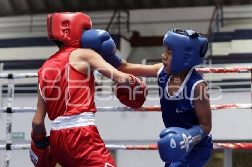 TORNEO DE LOS BARRIOS DE BOX