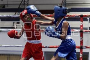 TORNEO DE LOS BARRIOS DE BOX