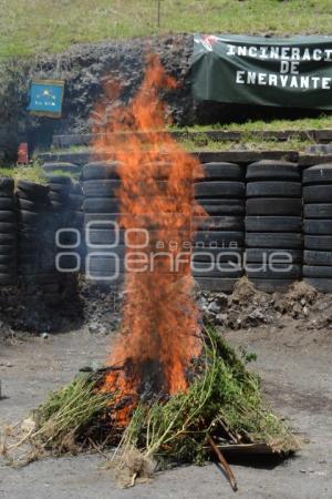 INCINERACIÓN ENERVANTES . ATLIXCO