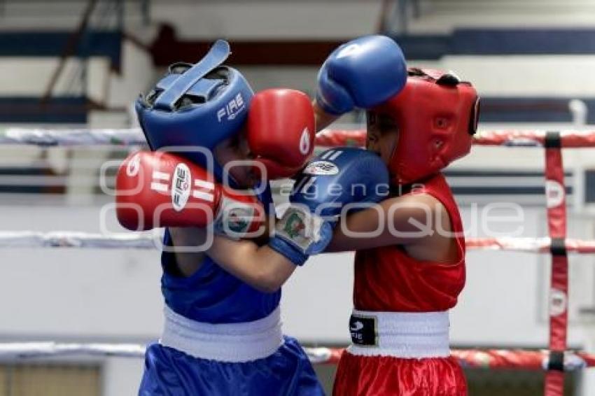 TORNEO DE LOS BARRIOS DE BOX