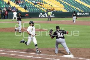 BEISBOL . PERICOS VS TOROS