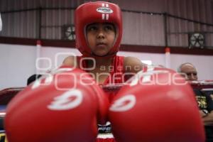 TORNEO DE LOS BARRIOS DE BOX