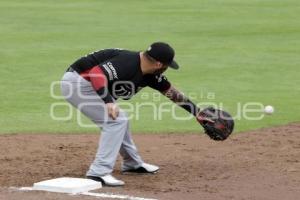 BEISBOL . PERICOS VS TOROS