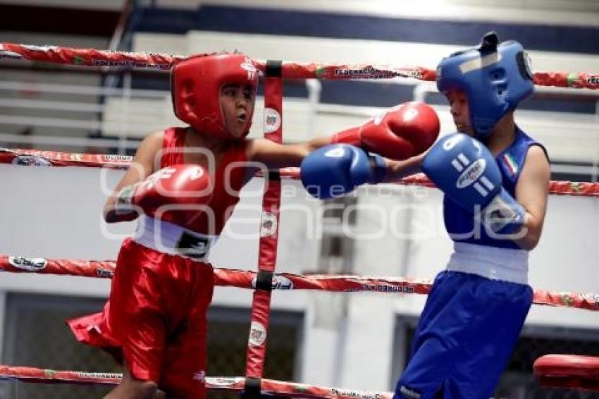 TORNEO DE LOS BARRIOS DE BOX