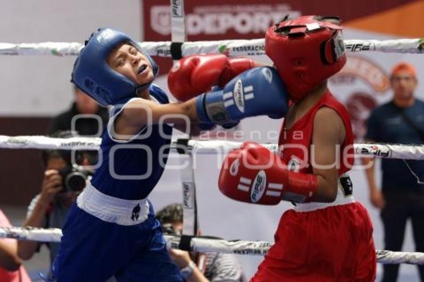 TORNEO DE LOS BARRIOS DE BOX