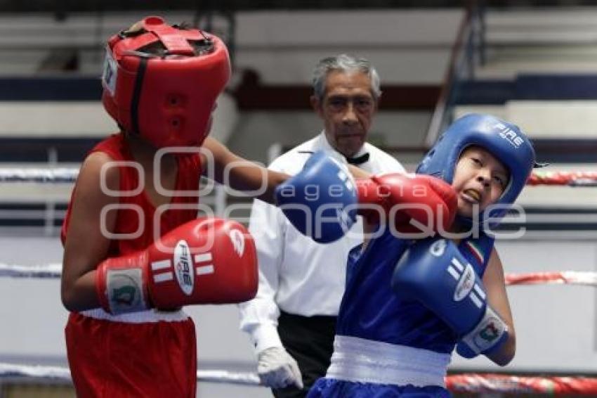 TORNEO DE LOS BARRIOS DE BOX