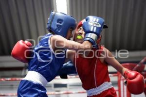 TORNEO DE LOS BARRIOS DE BOX