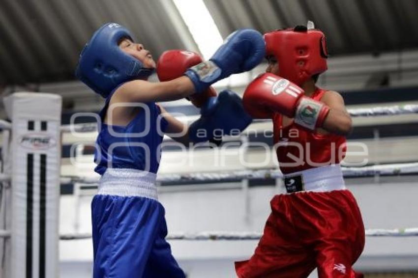 TORNEO DE LOS BARRIOS DE BOX