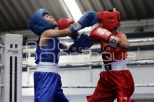 TORNEO DE LOS BARRIOS DE BOX