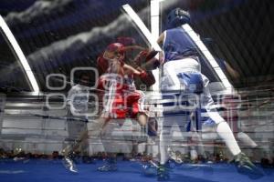 TORNEO DE LOS BARRIOS DE BOX