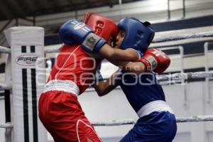 TORNEO DE LOS BARRIOS DE BOX