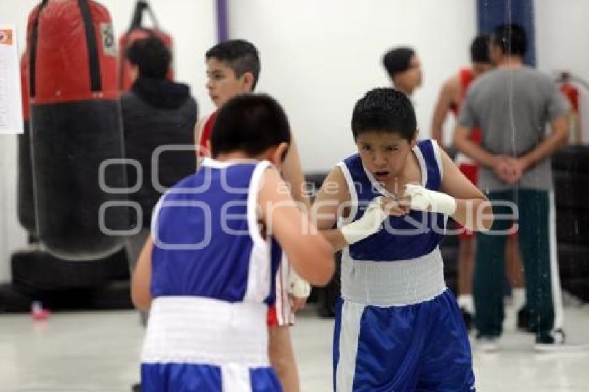 TORNEO DE LOS BARRIOS DE BOX