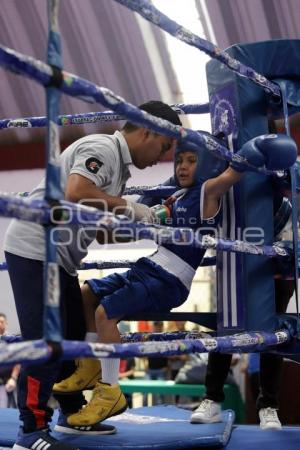 TORNEO DE LOS BARRIOS DE BOX