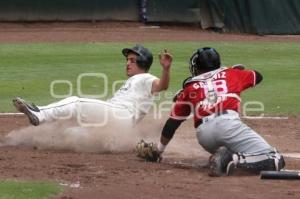 BEISBOL . PERICOS VS TOROS