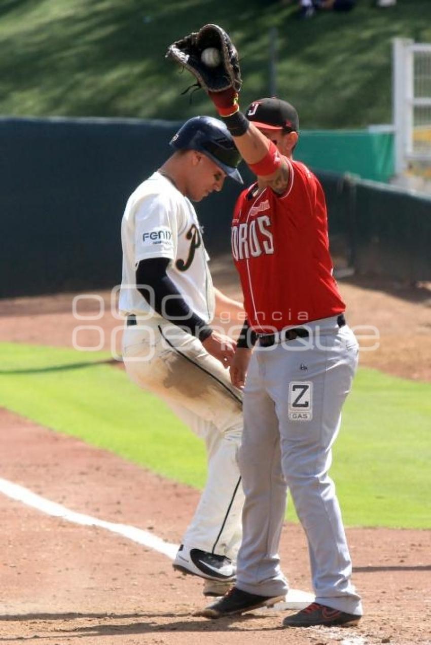 BEISBOL . PERICOS VS TOROS