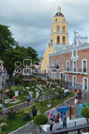 ATLIXCO . TAPETE MONUMENTAL