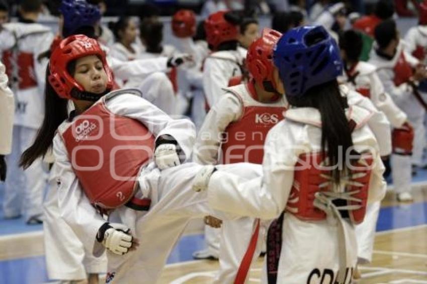 50 AÑOS TAEKWONDO