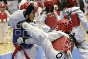 50 AÑOS TAEKWONDO