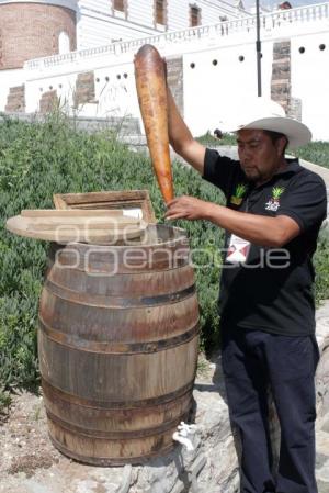 SAN ANDRES CHOLULA . ENCUENTRO ARTESANAL