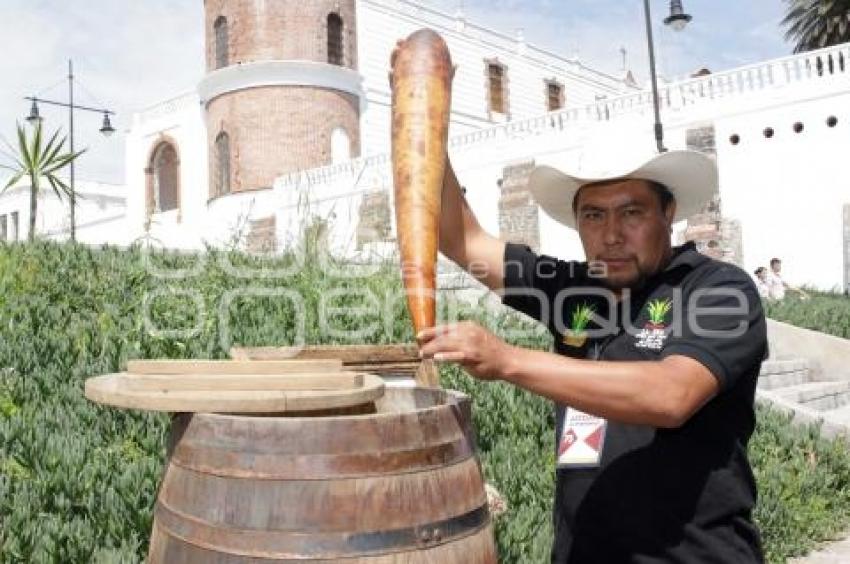 SAN ANDRES CHOLULA . ENCUENTRO ARTESANAL