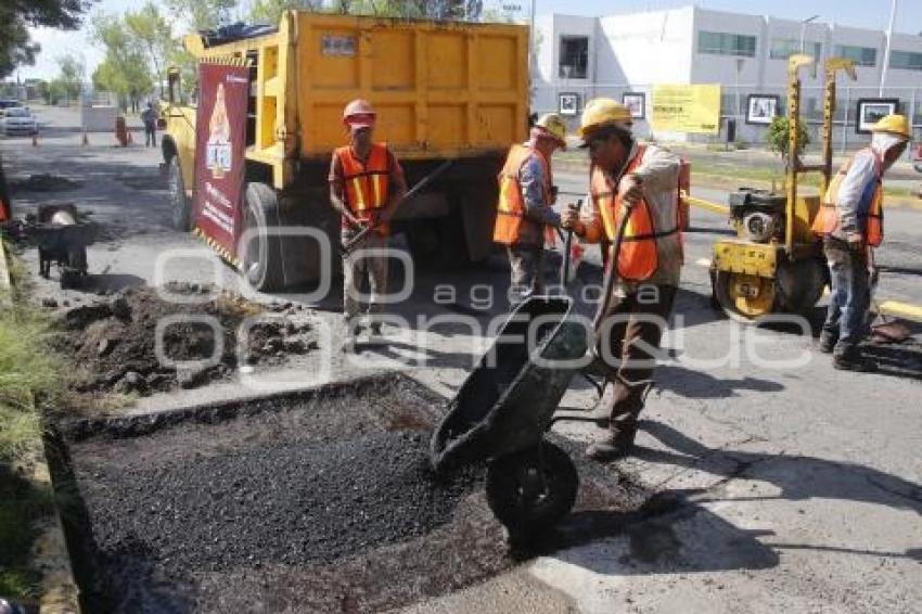 EL BACHERO LLEGO