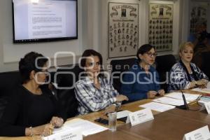 CONGRESO . COMISIÓN IGUALDAD