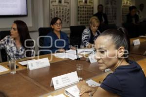 CONGRESO . COMISIÓN IGUALDAD