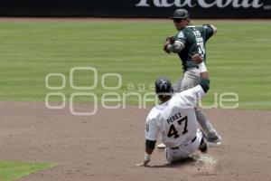 BEISBOL . PERICOS VS BRAVOS