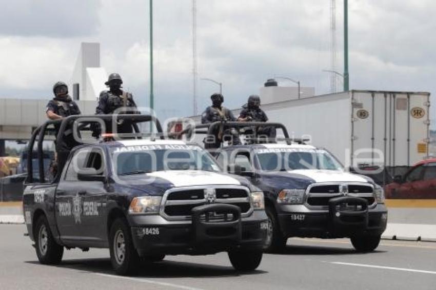 POLICÍA FEDERAL