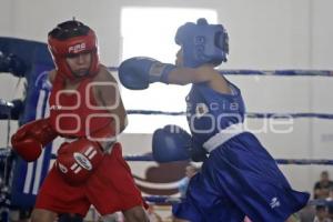 BOXEO . TORNEO DE BARRIOS