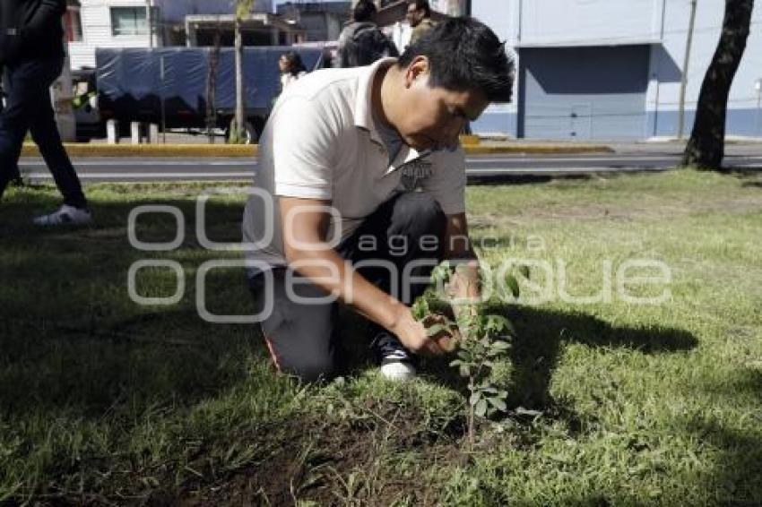 JORNADA DE PARTICIPACIÓN CIUDADANA