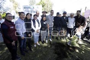 JORNADA DE PARTICIPACIÓN CIUDADANA