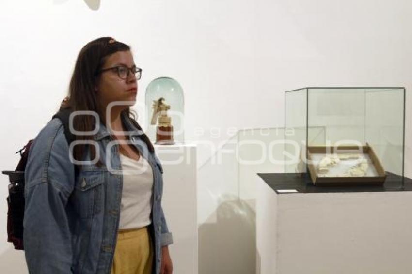 IMACP . EXPOSICIÓN SP