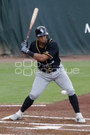 BEISBOL . PERICOS VS GUERREROS