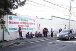 MANIFESTACIÓN . UNTA