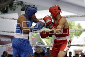 TORNEO DE LOS BARRIOS DE BOX