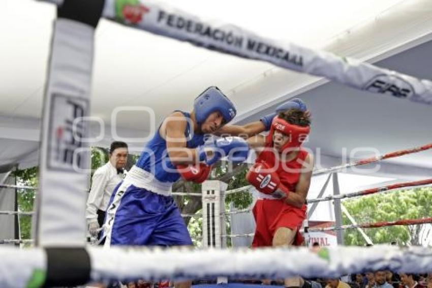 TORNEO DE LOS BARRIOS DE BOX