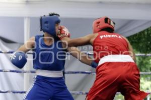 TORNEO DE LOS BARRIOS DE BOX