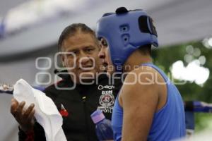 TORNEO DE LOS BARRIOS DE BOX